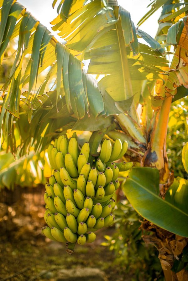 Quelles astuces pour porter des sacs banane de manière chic et élégante?